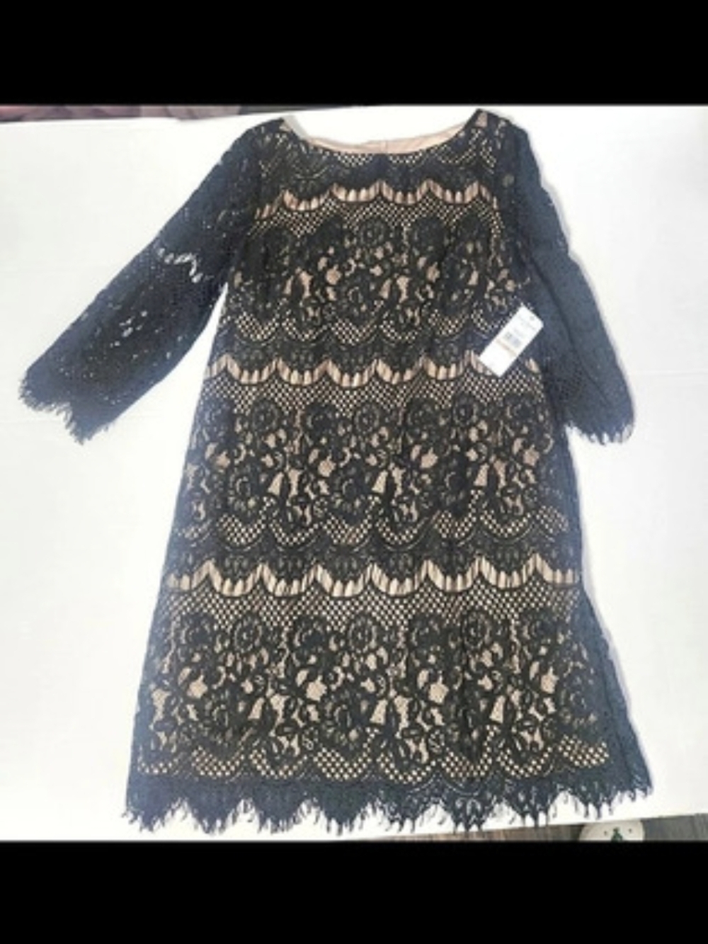 Jessica Howard 64-Day Lace Mini Dress in Black Size 12P NWT